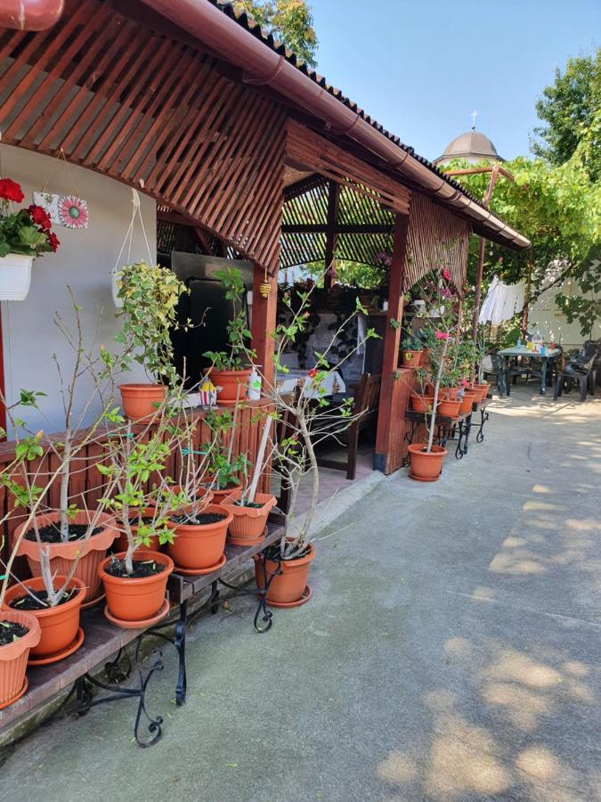 Casa Ghemus Costinesti Hotel Bagian luar foto